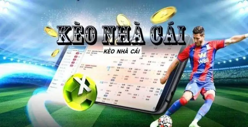 Kèo nhà cái là gì? Cách xem hiệu quả 9 Tổng quan về kèo nhà cái